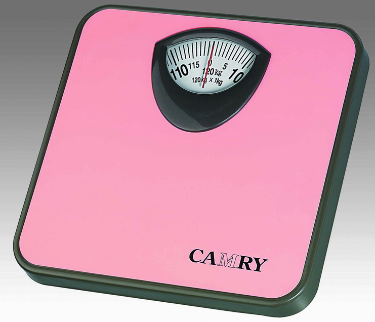 Mechanic Bathroom Scale